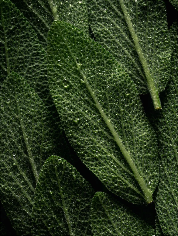 191.